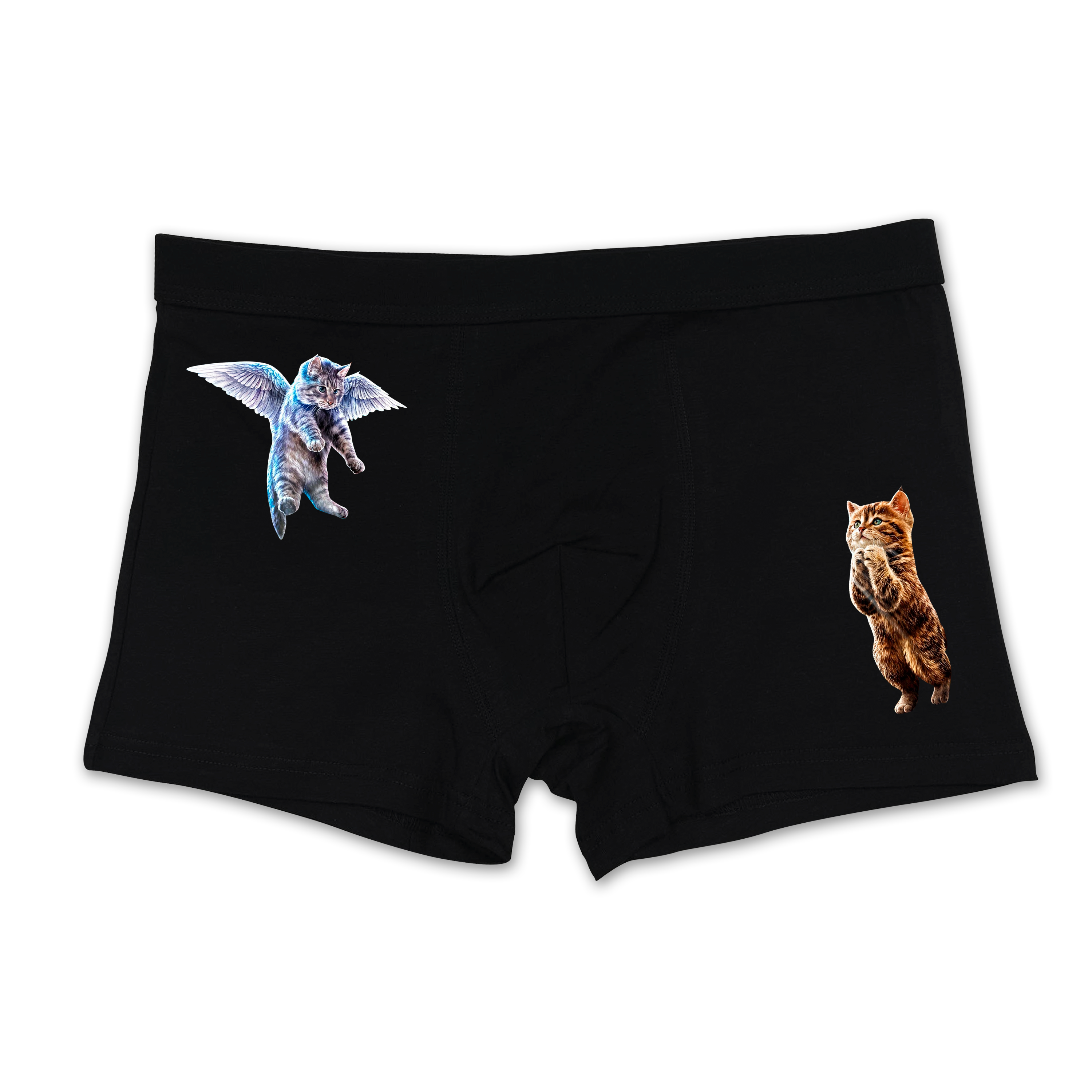 Flying cat boxer's