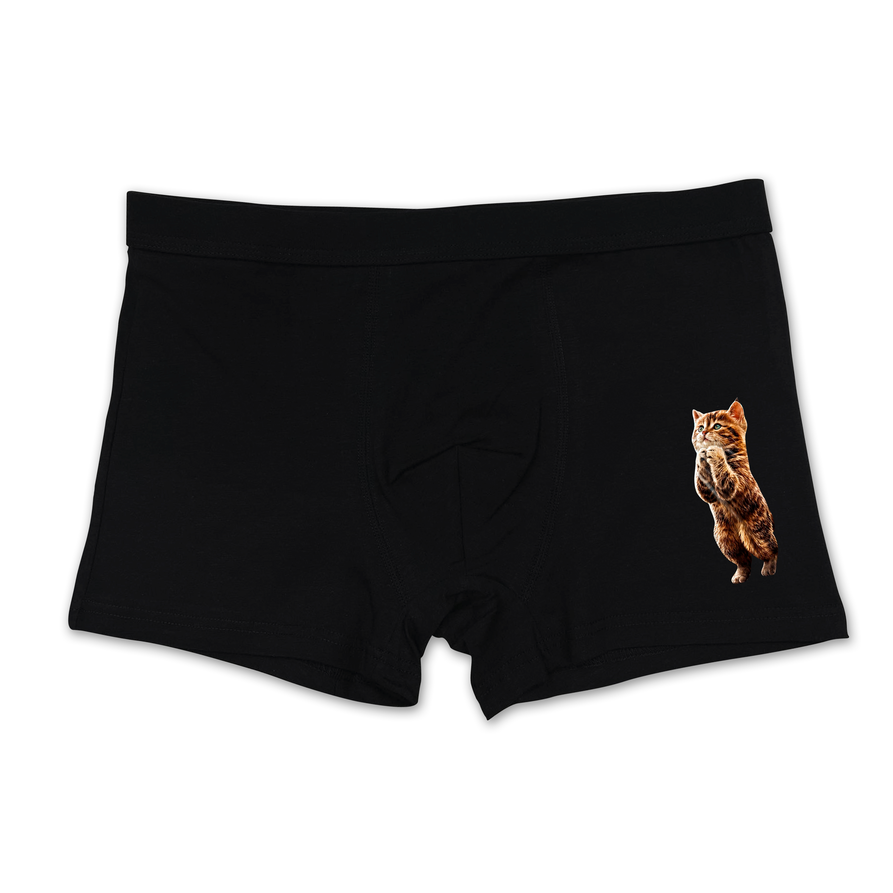 Bless cat boxer's