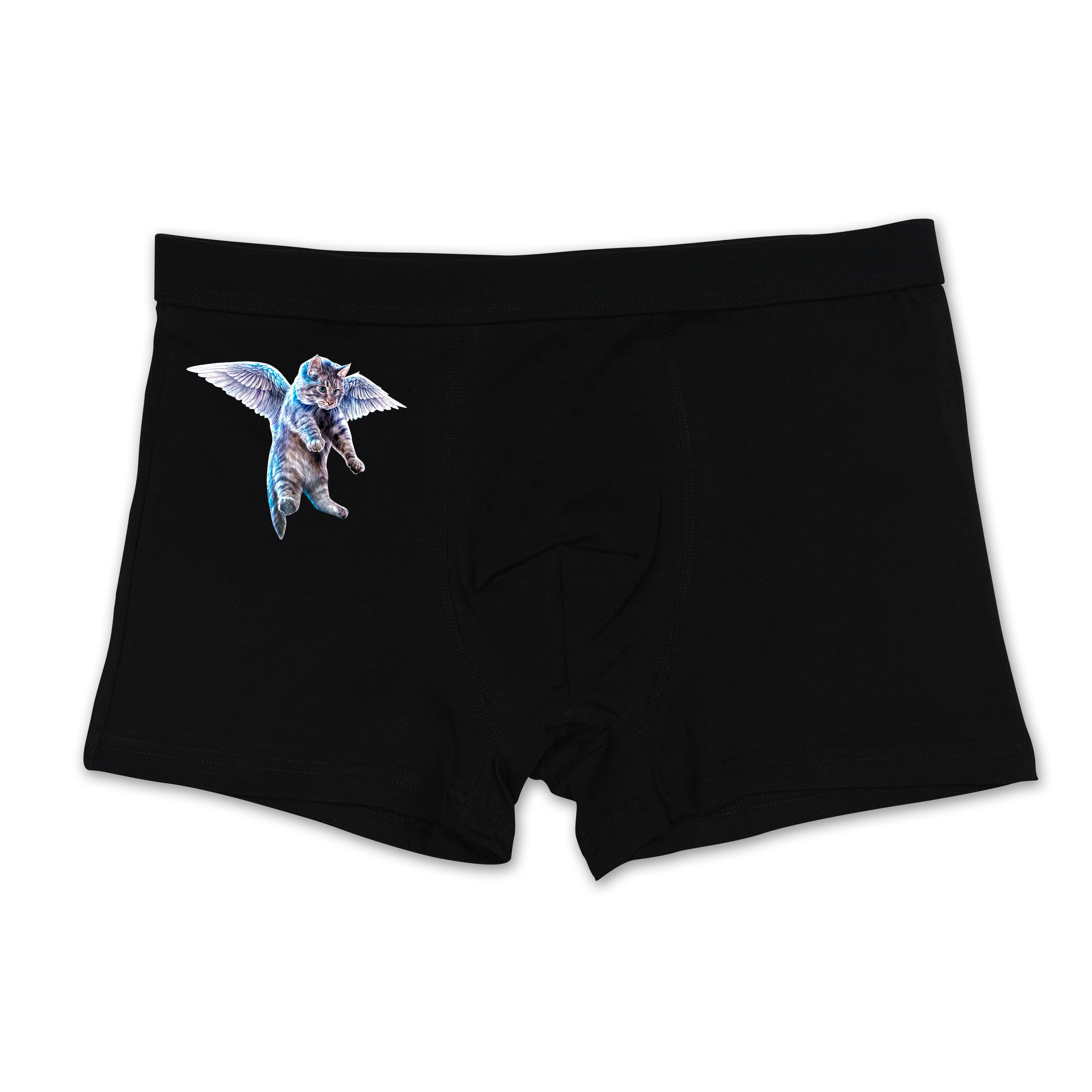 Flying cat boxer's