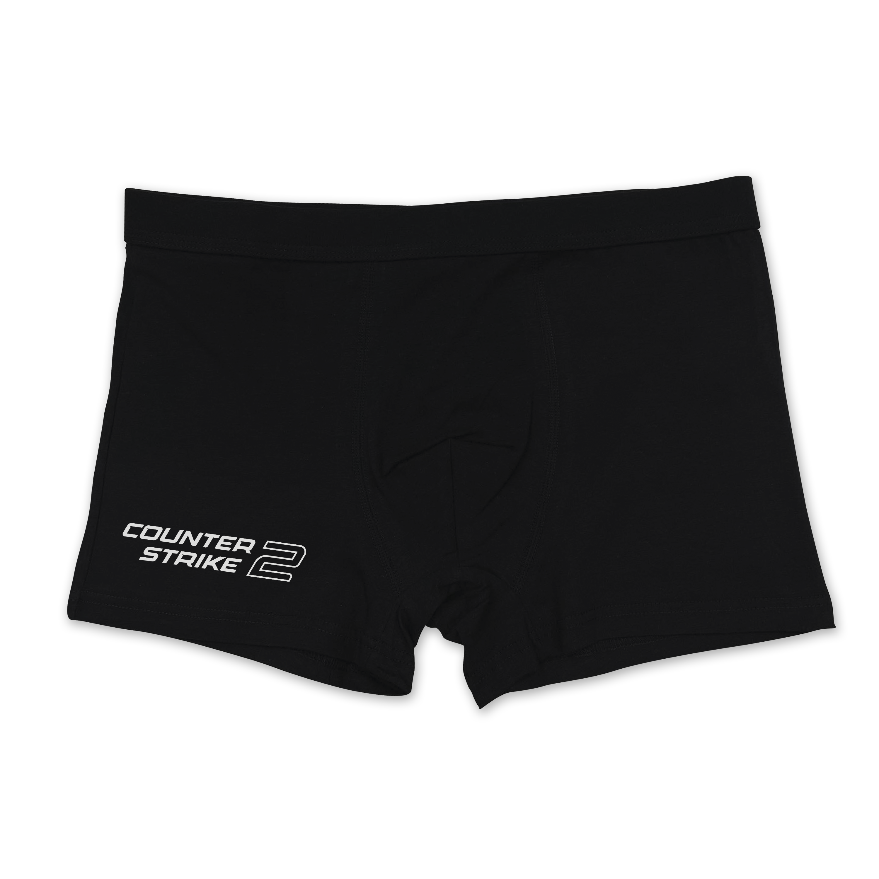 CS logo 2 boxer's