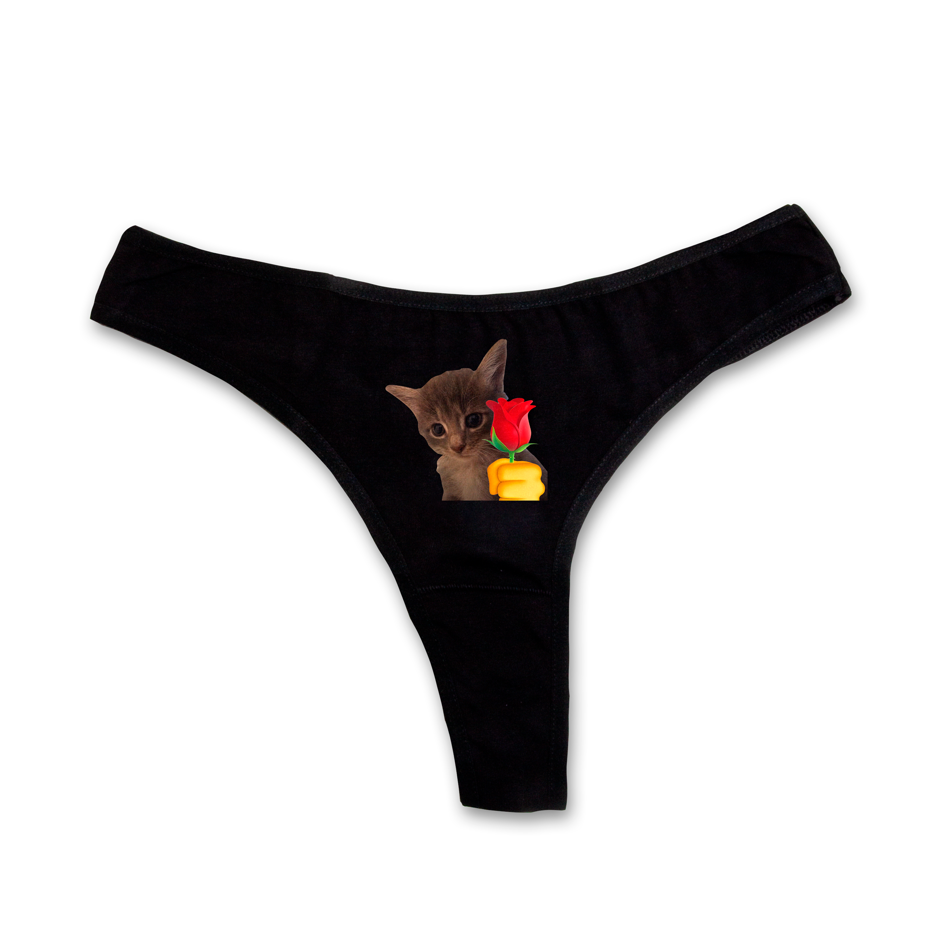 Cat with rose thongs